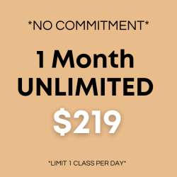 1 Month Unlimited (No Contract)
