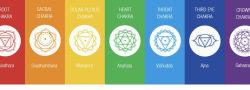 Understanding and Working with the Chakras