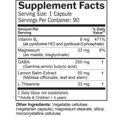 Brain MD GABA Calming Support