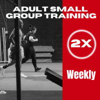 Adult Small Group Training - 2x Week