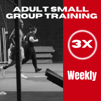 Adult Small Group Training - 3x Week