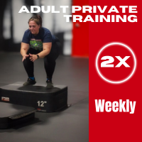 Adult Private Training - 2x Week