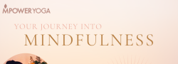 Your Journey Into Mindfulness: Cultivating Presence On and Off the Mat