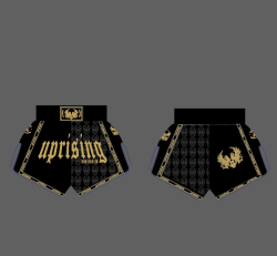 APPAREL - MUAY THAI SHORTS