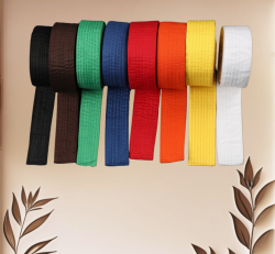 Belt Promotions