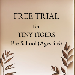 Preschool (Tiny Tigers) ONLY Free Trial Class