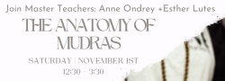 Anatomy of Mudras | Virtual