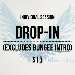 Drop-In Session (Excludes Bungee Intro)
