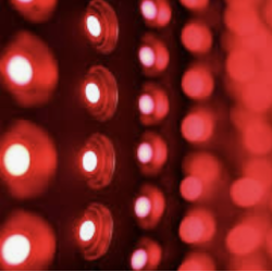 Red Light Express 10-pack