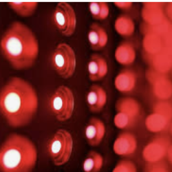 Red Light Express 5-pack