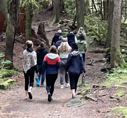 Private Group Forest Bathing Experience