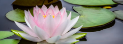 Meditation for beginners