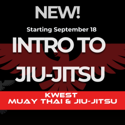 Introduction To Jiu-Jitsu
