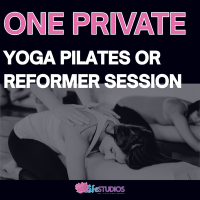 One Private 1-on-1 session (all services)