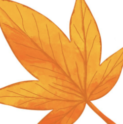 Five for Fall