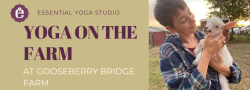 Yoga on the Farm at Gooseberry Bridge Farm