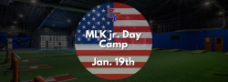 Baseball MLK Jr. Day All-Aspects Camp