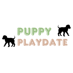Puppy Playdate October 2025