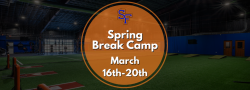 Baseball Spring Break All-Aspects Camp