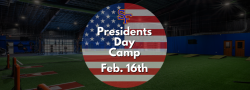 Softball Presidents Day All-Aspects Camp