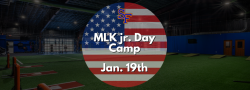 Softball MLK Jr. Day All-Aspects Camp