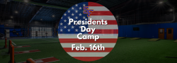 Baseball Presidents Day All-Aspects Camp