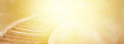 Intimate Group Mediumship Gallery