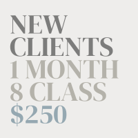 *NEW CLIENT SPECIAL* 8 Group Class Trial Month