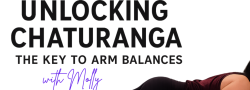 Unlocking Chaturanga