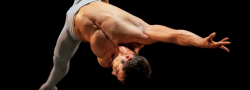 Cirque's Ernesto Lea Place Aerial Straps Workshop (Adult)