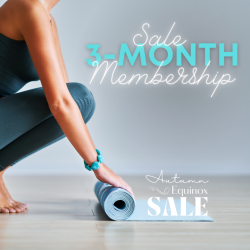 SALE! Unlimited – 3 Month Membership (prepaid)
