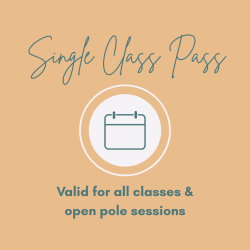 Single Session Class (All-Levels)