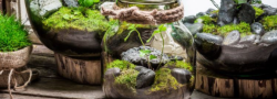 SoulCraft: Terrarium Workshop