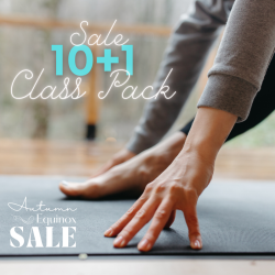 SALE! Class Pack – 10+1 Classes (6month expiry)