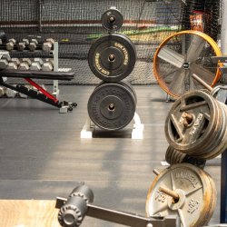 Annual Gym Membership