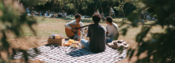 Community Picnic