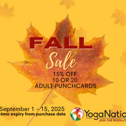 2025 Fall Punchcard Sale - 10