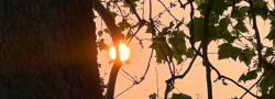Autumn Equinox Mini Retreat