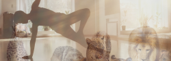 Wild Flow yoga