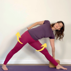 5 Weeks Beginner’s Iyengar Yoga Series