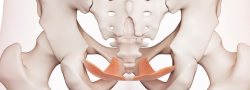 Better Bladder Better Life- Pelvic Floor Solutions
