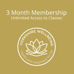 Unlimited Classes - 3 month membership