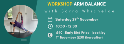 Arm Balance Workshop