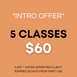 5 Class Pack (INTRO OFFER)