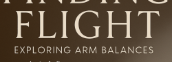 Finding Flight: Exploring Arm Balances