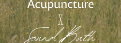 Acupuncture + Sound Bath Experience