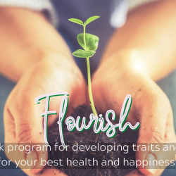 Flourish Fall 2025 Payment Plan - 12 week virtual program