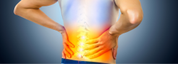 Therapeutic Yoga for Spinal Longevity - Lower Back, Core, and Pelvis