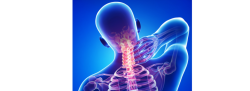 Therapeutic Yoga for Spinal Longevity - Upper Back, Neck, and Occiput