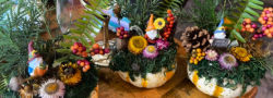 Pumpkin Decorating Workshop